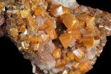 Lustrous, Wulfenite Crystal Cluster - Los Lamentos, Mexico #163161-3